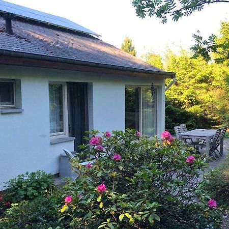 Villa Des Grues A Filly Houffalize Bagian luar foto